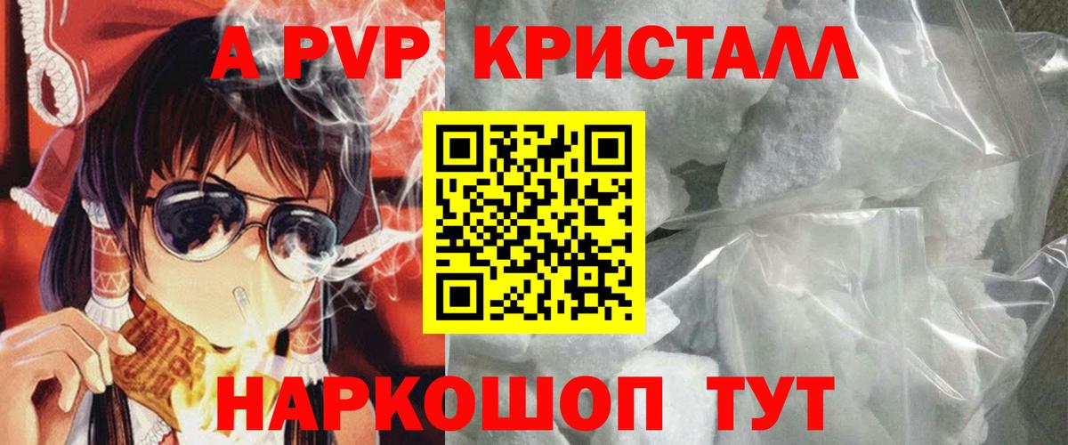Alfa_PVP СК КРИС Архангельск