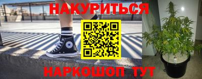 стаф Тула