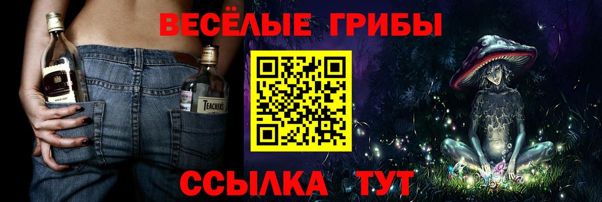 Псилоцибиновые грибы прущие грибы  Вход с VPN  Архангельск 