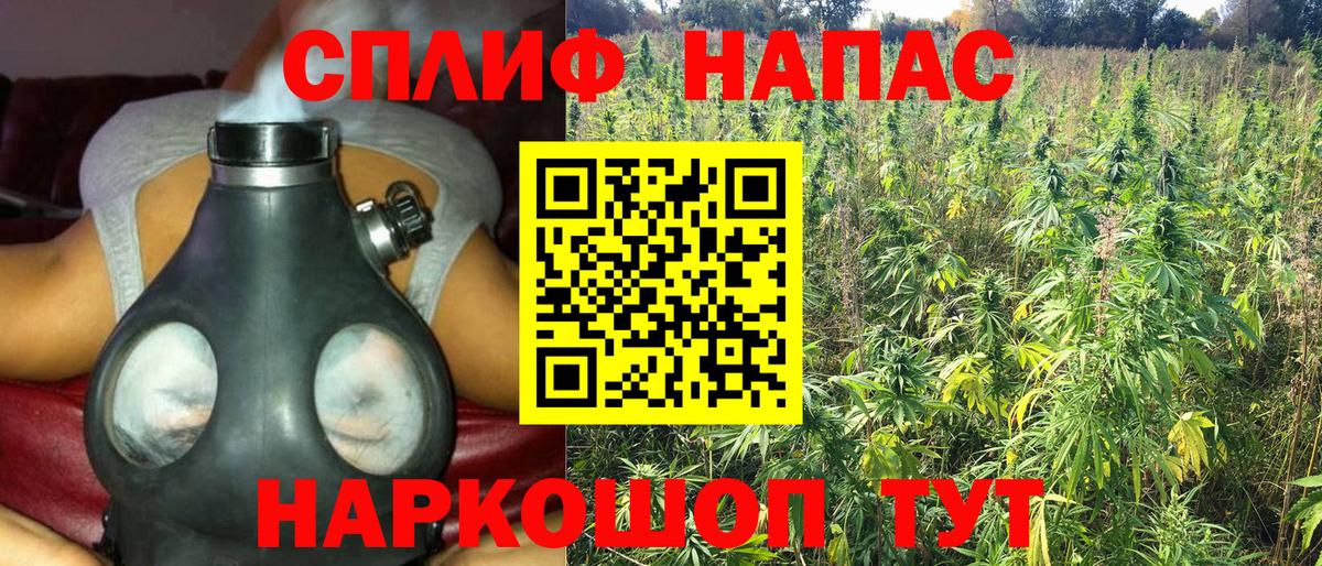 Шишки марихуана сатива Архангельск